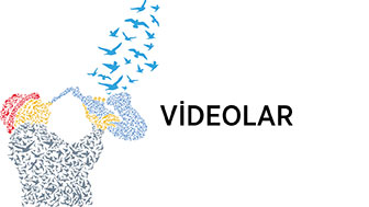 Videolar